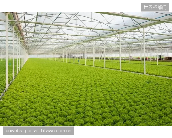 赛事绿色采购指南在执行中层层衰减，最终沦为供应商“环保承诺”的形式主义
